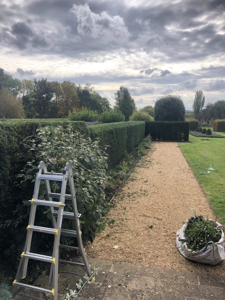 Hedge Trimming & Maintenance